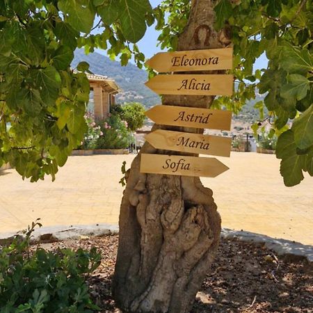 Casas Rurales- "Casa Larios" El Colmenar Dış mekan fotoğraf